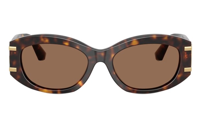 DOLCE&GABBANA DG 4502 502/73 55 Kadın Güneş Gözlüğü - 2