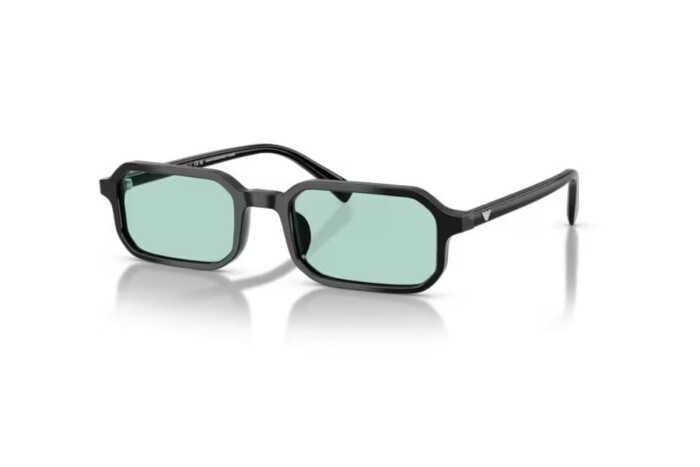 EMPORIO ARMANI EA 4253U 501765 54 Unisex Güneş Gözlüğü - 1