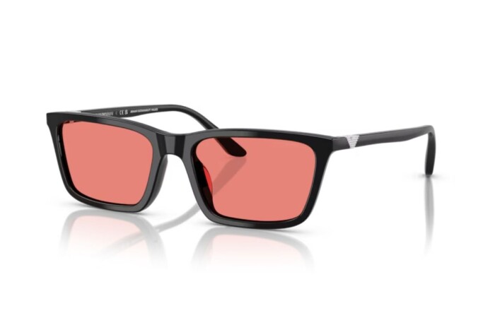 EMPORIO ARMANI EA 4239U 501784 55 Kadın Güneş Gözlüğü - 1