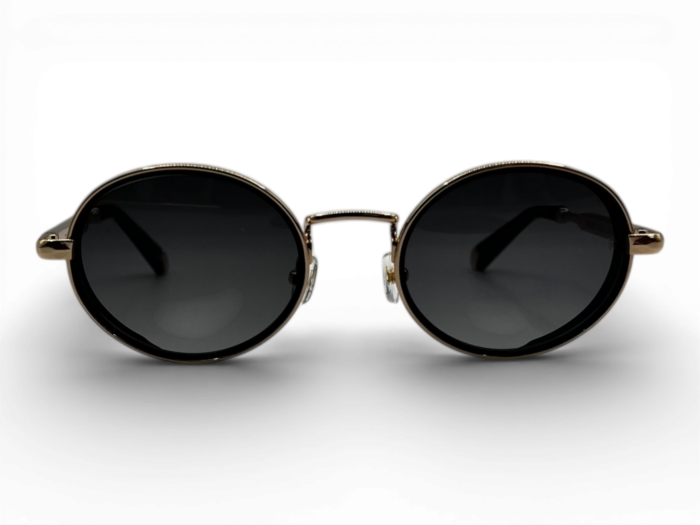 RETRO RS 2602 C01 52 Unisex Güneş Gözlüğü - 2