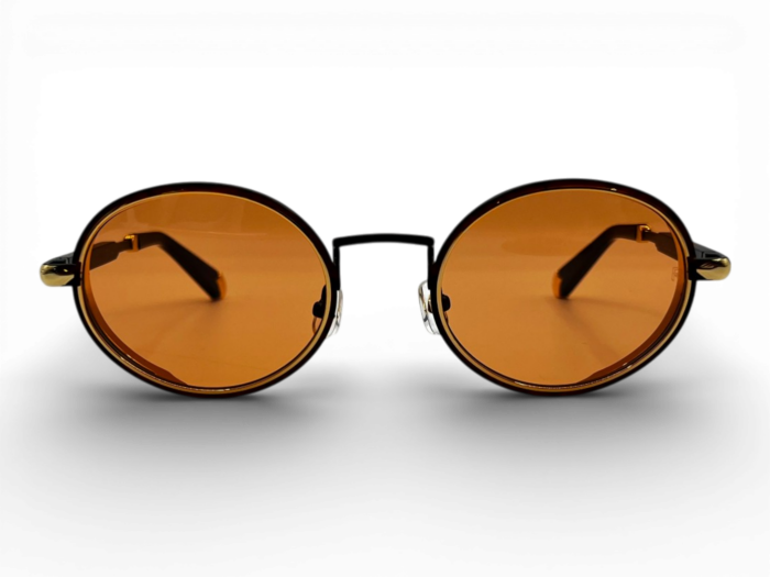 RETRO RS 2602 C02 52 Unisex Güneş Gözlüğü - 2