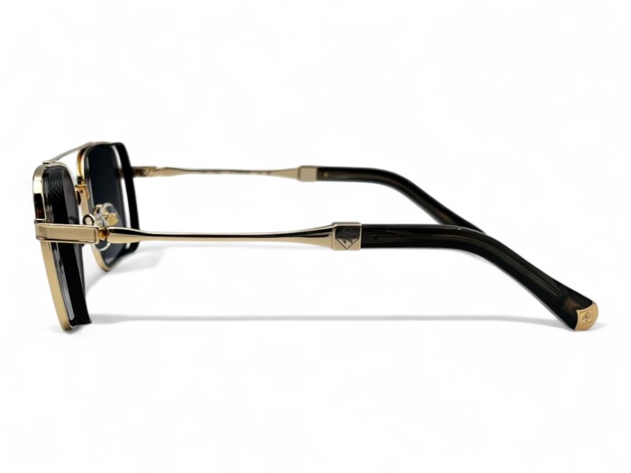 RETRO RS 2603 C01 55 Erkek Güneş Gözlüğü - 3