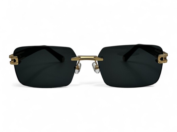 RETRO RS 2608 C01 58 Erkek Güneş Gözlüğü - 2