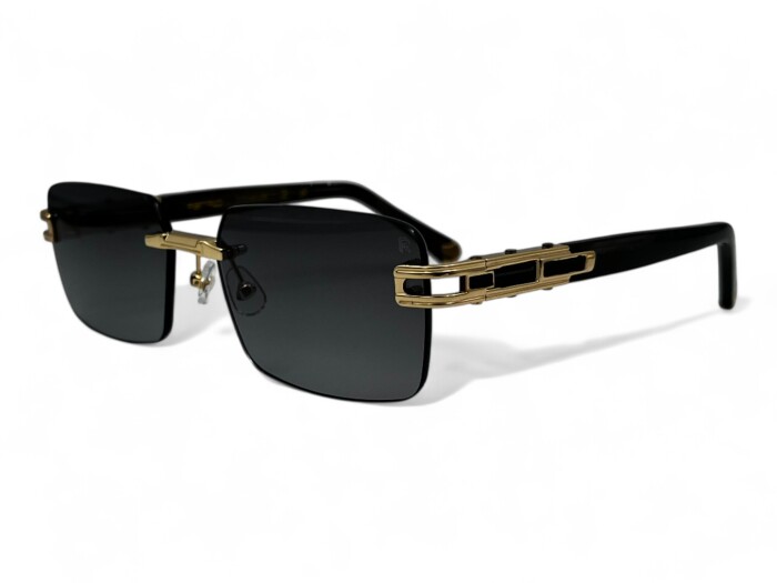 RETRO RS 2608 C02 58 Erkek Güneş Gözlüğü - RETRO