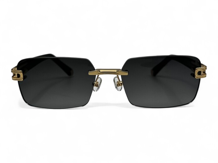 RETRO RS 2608 C02 58 Erkek Güneş Gözlüğü - 2