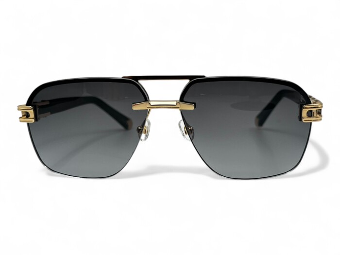 RETRO RS 2610 C01 60 Erkek Güneş Gözlüğü - 2