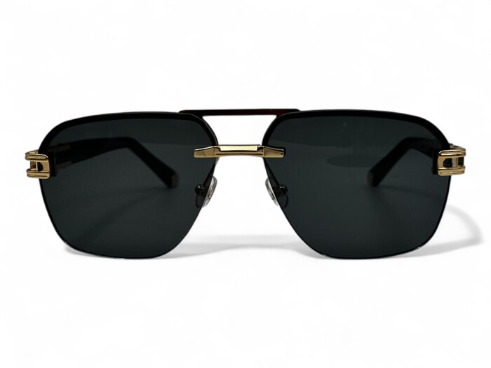 RETRO RS 2610 C02 60 Erkek Güneş Gözlüğü - 2