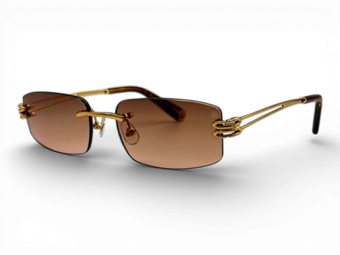 RETRO RS 2625 C02 54 Unisex Güneş Gözlüğü - 1