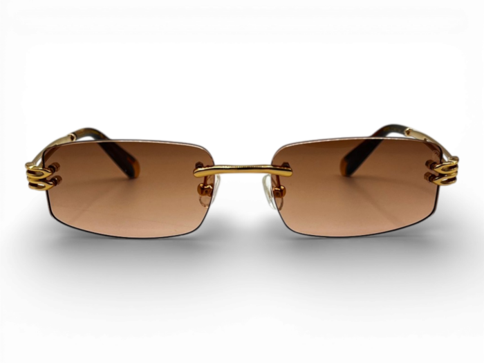 RETRO RS 2625 C02 54 Unisex Güneş Gözlüğü - 2