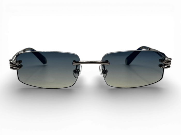 RETRO RS 2625 C03 54 Unisex Güneş Gözlüğü - 2